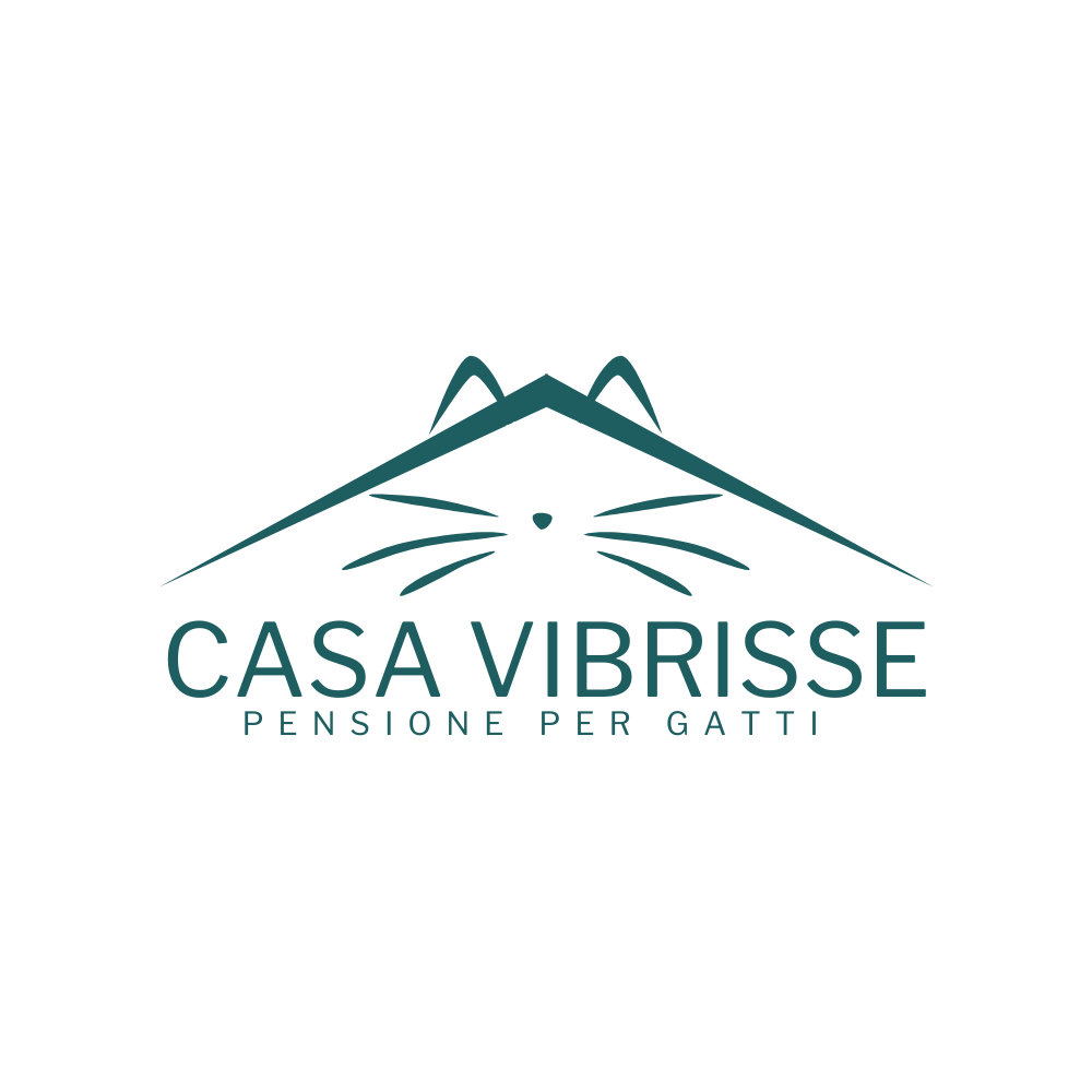 Casa Vibrisse